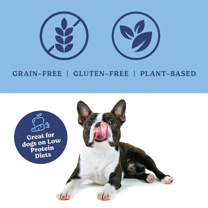 A Boston Terrier sits and licks its nose under icons for grain-free, gluten-free, and plant-based Angels Eyes Sea Sticks Multi-Benefit Dog Treats by Angels Eyes. Label highlights support for low protein diets and digestive health with brown seaweed.