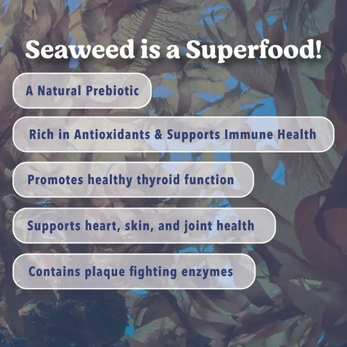Angels Eyes Sea Sticks Multi-Benefit Dog Treats by Angels Eyes use brown seaweed for natural prebiotic benefits, antioxidants for immune health, thyroid support, heart/skin/joint wellness, and plaque-fighting enzymes.