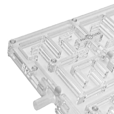Ant Maze 20×20 – M Antcube
