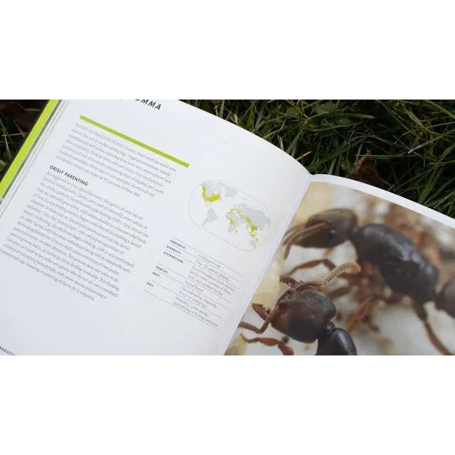 Ants: A Visual Guide by Heather Campbell and Benjamin Blanchard Princeton University