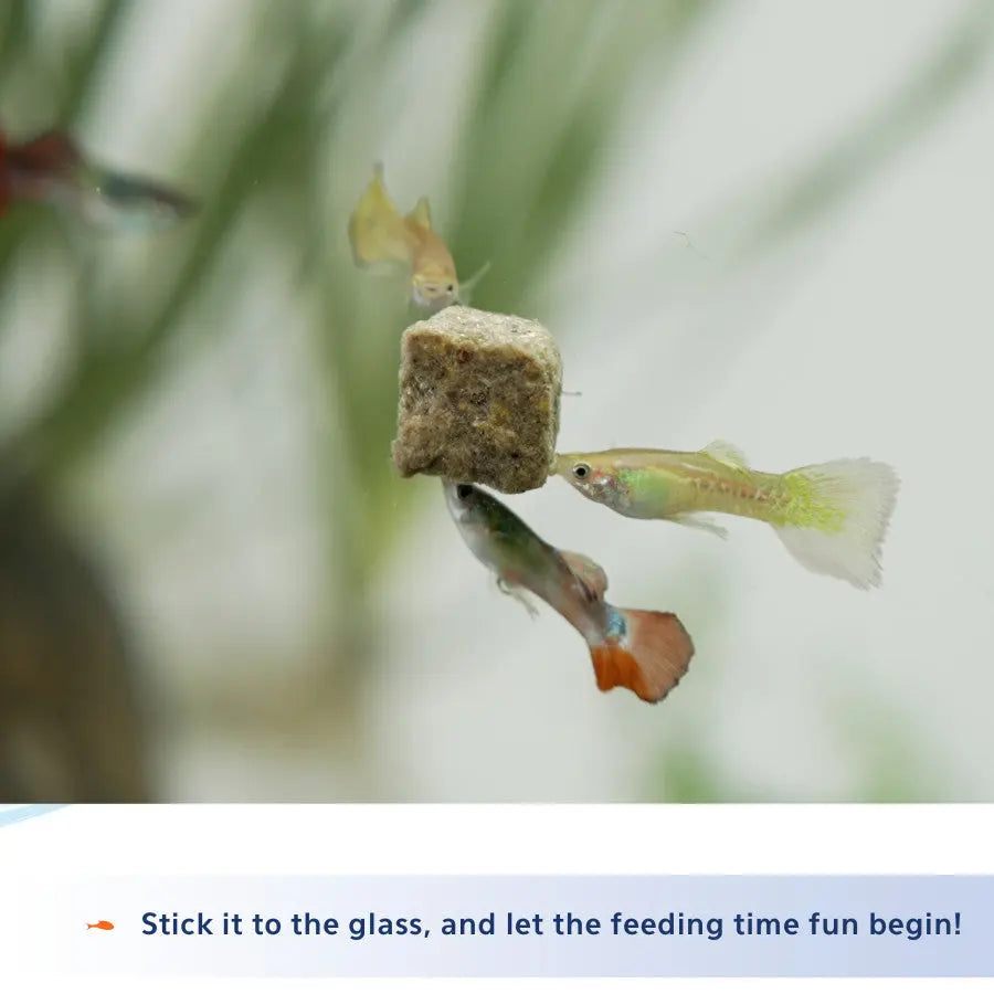 Aqueon Stick'ems Freeze-Dried Fish Food Aqueon