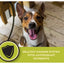 A happy dog with its mouth open sits on a wooden floor. A green banner at the bottom shows the AvoDerm CPD logo, a shield icon, and text: Healthy Immune System with Antioxidant Nutrients & Omega-Rich Avocados.