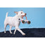 BARK Ate-Bit Controllers Dog Rope Toy BARK