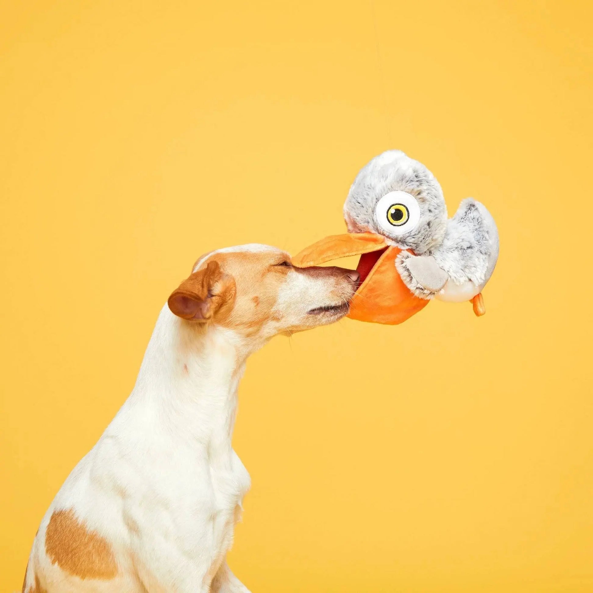 BARK Big Bill & Beak-A-Boo Fish Dog Toy BARK