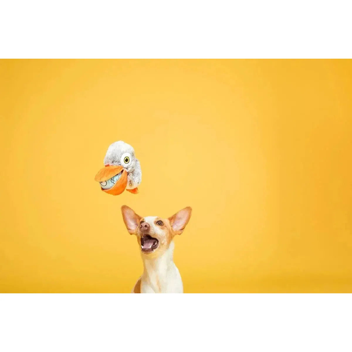 BARK Big Bill & Beak-A-Boo Fish Dog Toy BARK