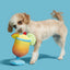 BARK Mai Tail Plush Dog Toy BARK