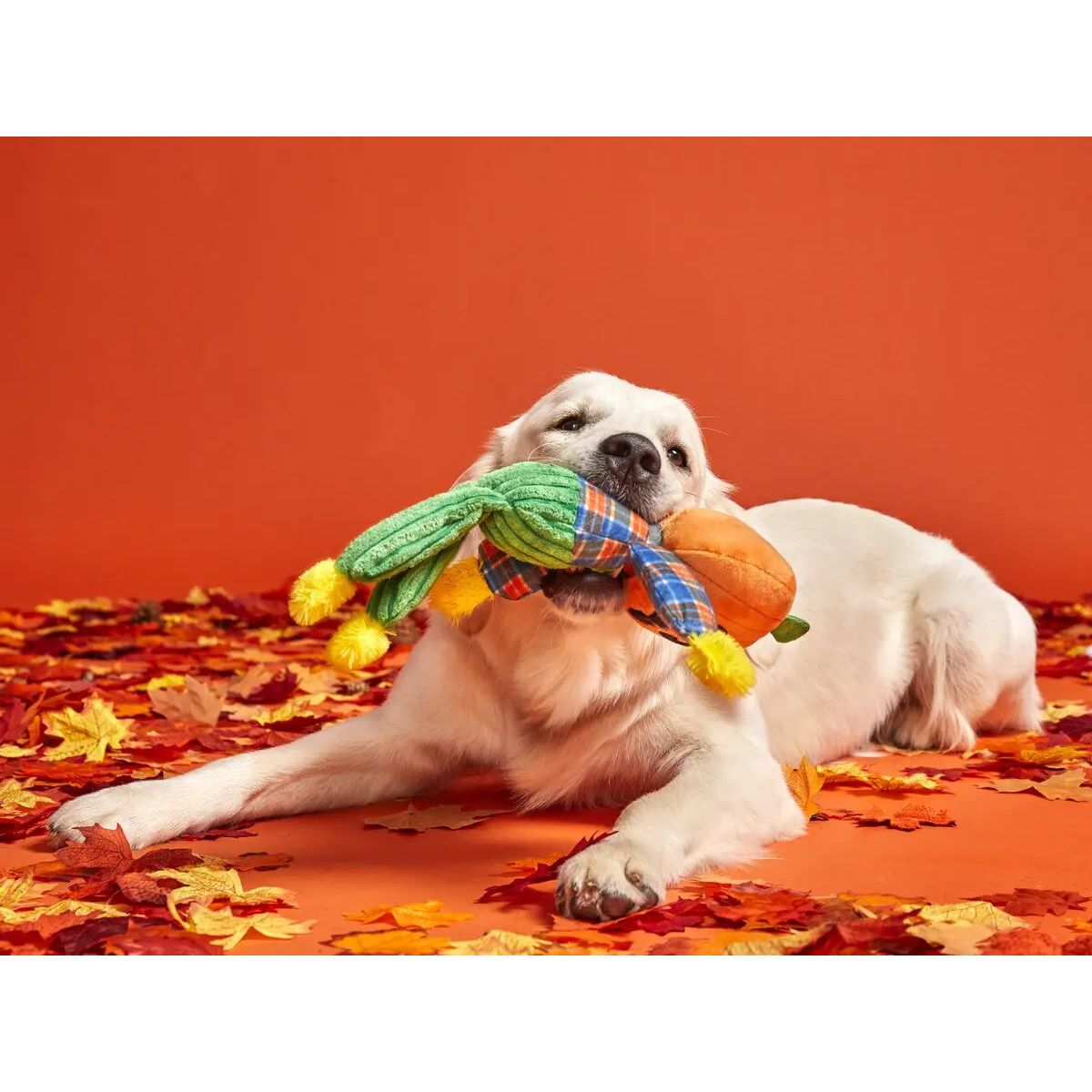 BARK Ol' Pumpkin Patches Plush Dog Toy Small BARK