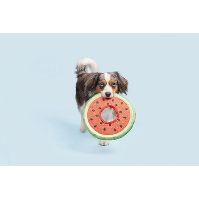 BARK Slobbermelon Fetch Dog Toy BARK