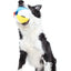 BARK Spike the Beachball Super Chewer Dog Toy BARK