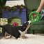 BARK Wreath Toss Dog Toys BARK