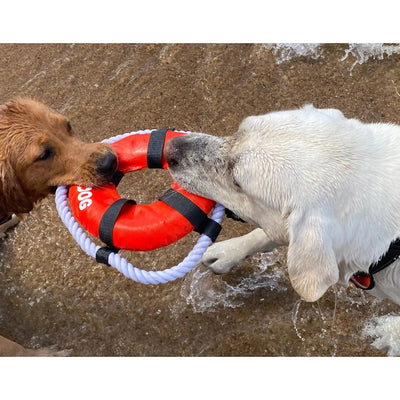 BAYDOG Fetch Ring Toy for Dogs BAYDOG