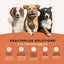 CANIDAE All Life Stages Multi-Protein High Protein Dry Dog Food CANIDAE