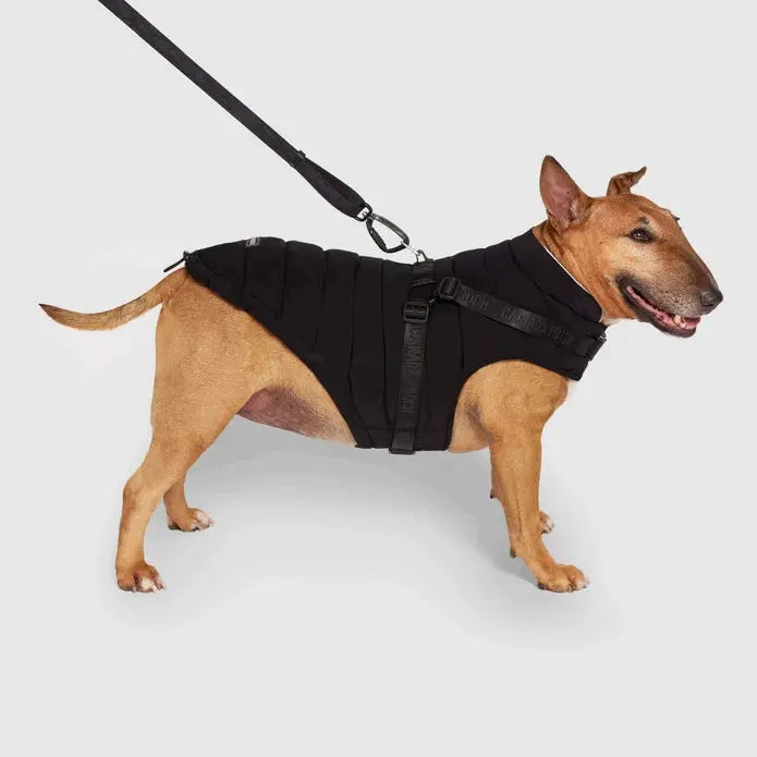 Canada Pooch Dog Puffer with Harness Canada Pooch