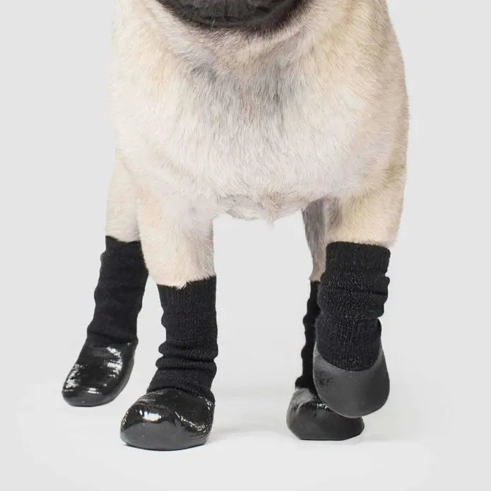 Canada Pooch Dog Slouchy Socks Canada Pooch