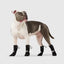 Canada Pooch Dog Soft Shield Boots Canada Pooch