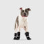 Canada Pooch Dog Soft Shield Boots Canada Pooch