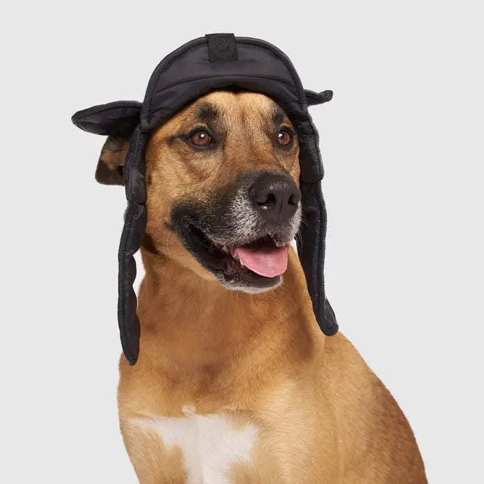 Canada Pooch Puffer Dog Hat Canada Pooch