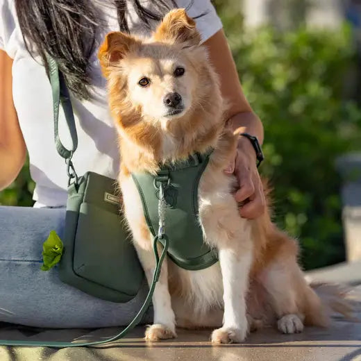 Canada Pooch The Everything Harness with Poop Dispenser Canada Pooch