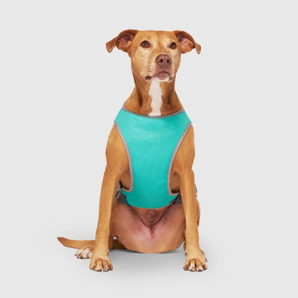 Canada Pooch Wet Reveal Smiley Cooling Dog Vest Canada Pooch