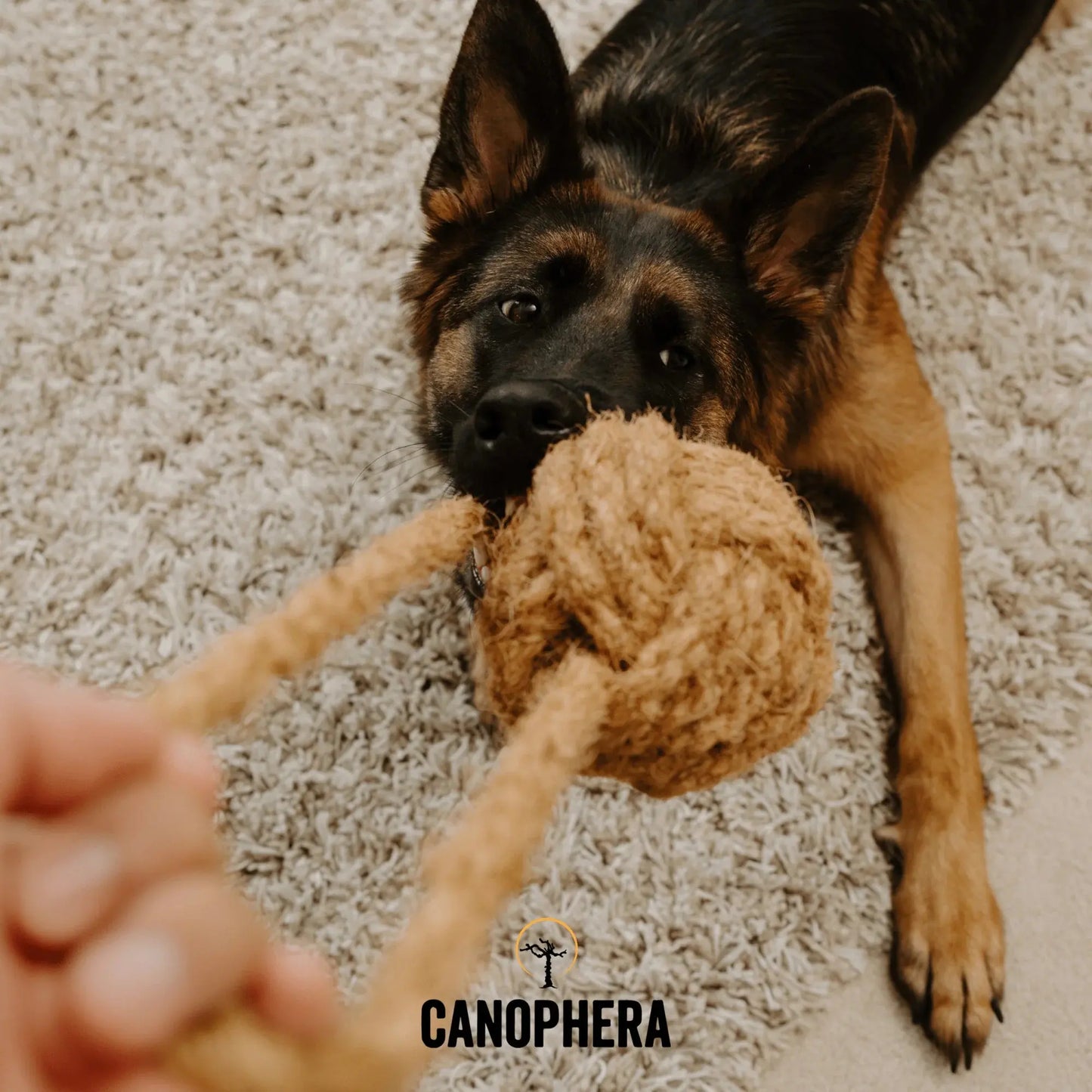 Canophera Coconut Rope Toys for Dogs CANOPHERA