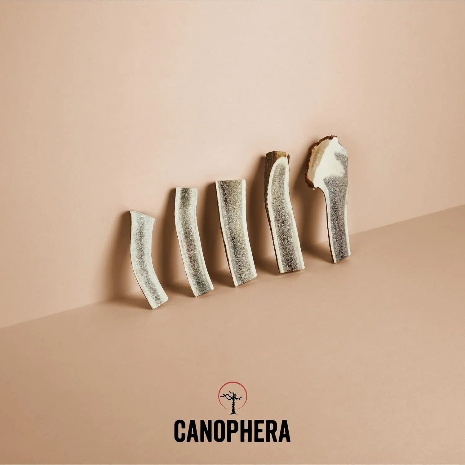 Canophera Split Red Deer Antler for Dogs CANOPHERA