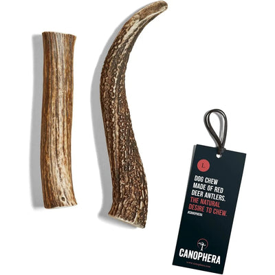 Canophera Whole Red Deer Antler Dog Chew CANOPHERA