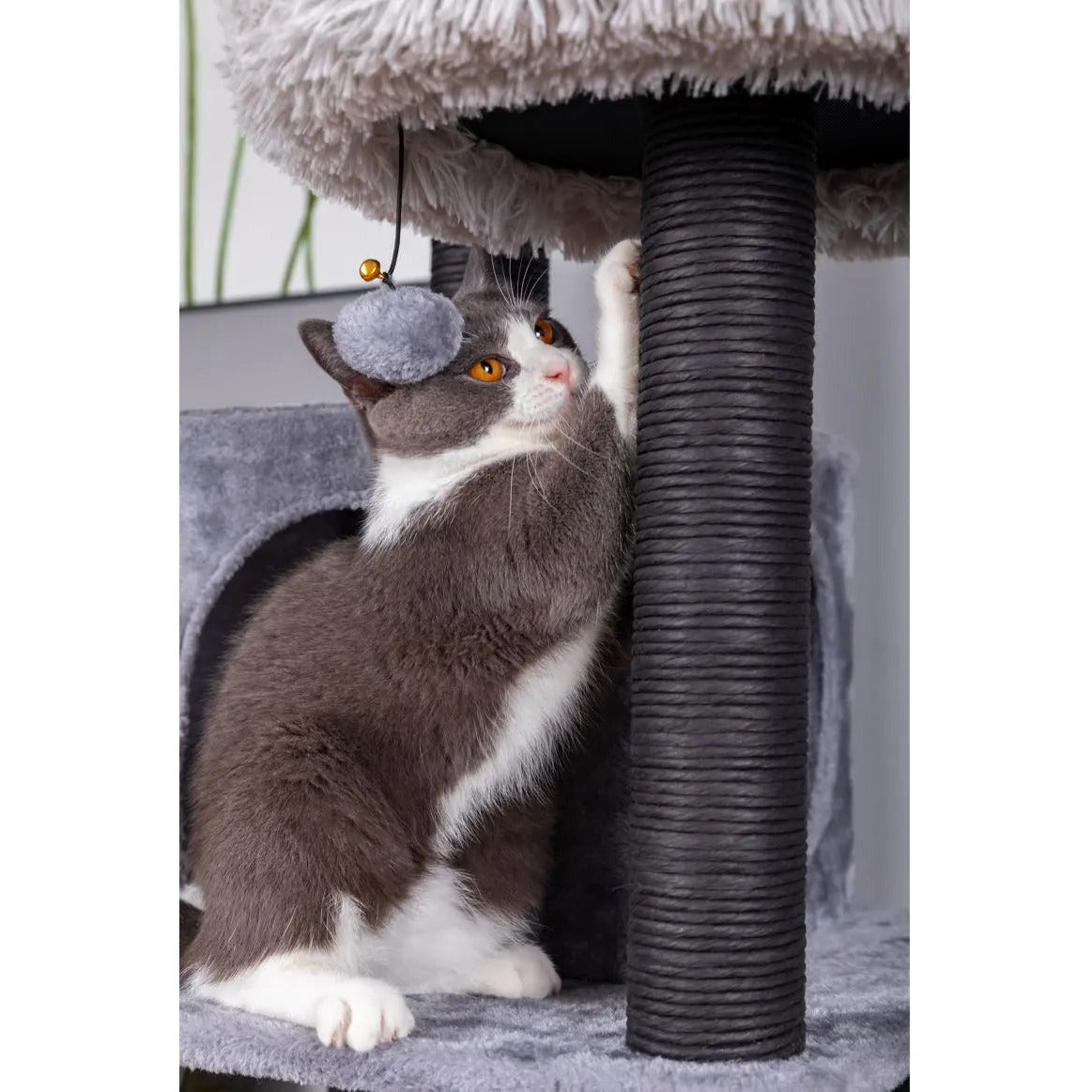Catry Bradbury 7 Level Gray Cat Tree With Scratching Posts, Condo, Hammock and Two Shag Fur Cushions PetPals Group