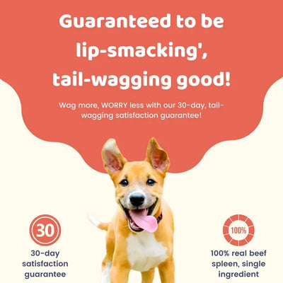 Charmy Pet Beef Spleen Dog Treats 3.8 oz Charmy Pet