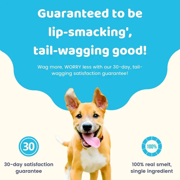 Charmy Pet Lake Smelt Dog Treats 3.8 oz Charmy Pet