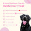 Charmy Pet Rabbit Ear Dog Treats 1.5 oz Charmy Pet