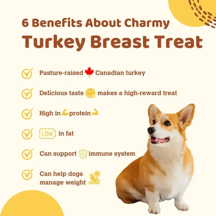 Charmy Pet Turkey Breast Dog Treats 3.5 oz Charmy Pet