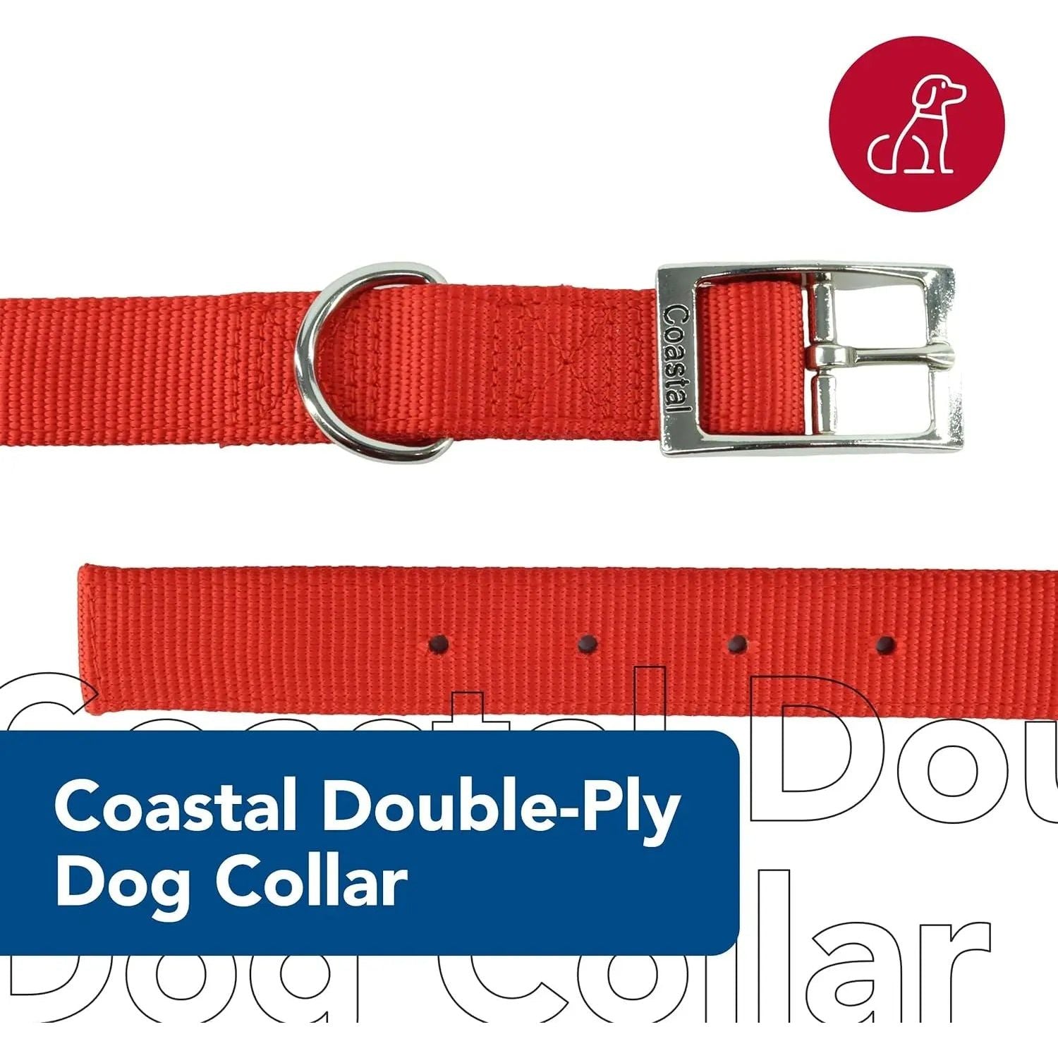 Coastal Flat Buckle Double Ply Nylon Collars & Leads Coastal Pet