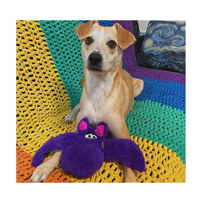 A tan and white dog lies on a rainbow crochet blanket with the Cycle Dog Duraplush Bat, a durable toy from Cycle Dog, between its paws. A blue and yellow patterned cushion can be seen in the background.