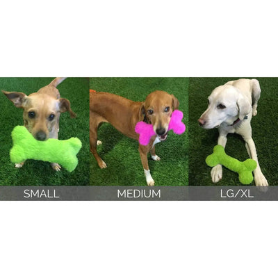 Three dogs—small, medium, and large—sit on green grass, each holding a Cycle Dog Duraplush Bones toy by Cycle Dog: the small dog has a green bone, the medium dog a pink one, and the large dog a green bone.