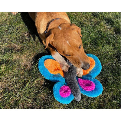 A brown dog lies on grass, chewing on the Cycle Dog Duraplush Butterfly—a durable plush dog toy by Cycle Dog, available in assorted colors.