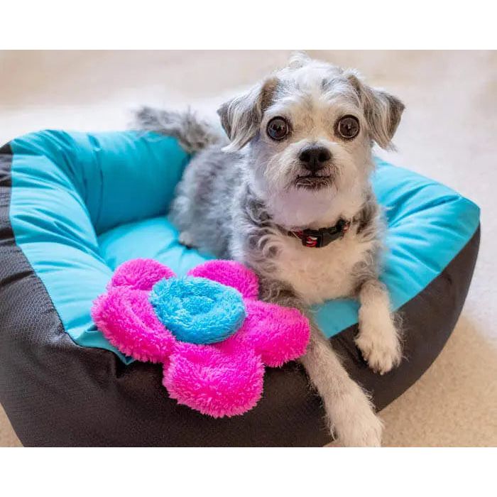 Cycle Dog Duraplush Flower Puppy Pack Cycle Dog