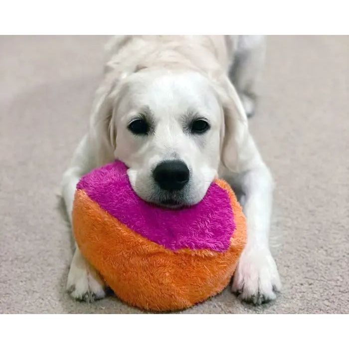 Cycle Dog Duraplush Fuzzball Dog Toy Cycle Dog