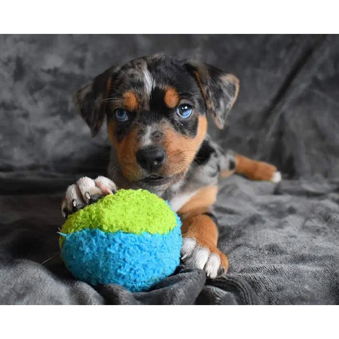 Cycle Dog Duraplush Fuzzball Dog Toy Cycle Dog