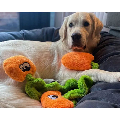 A golden retriever relaxes on a gray couch, surrounded by orange and green Cycle Dog Duraplush Springy Pumpkin Patch Dog Toys from Cycle Dog, gazing at the camera with a calm expression.
