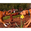 Cycle Dog Duraplush Springy Squirrel Dog Toy Cycle Dog