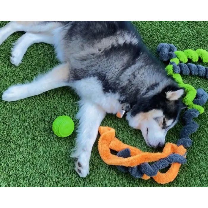 Cycle Dog Duraplush Springy Thing Dog Toy Cycle Dog