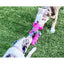 Cycle Dog Duraplush Springy Thing Dog Toy Cycle Dog