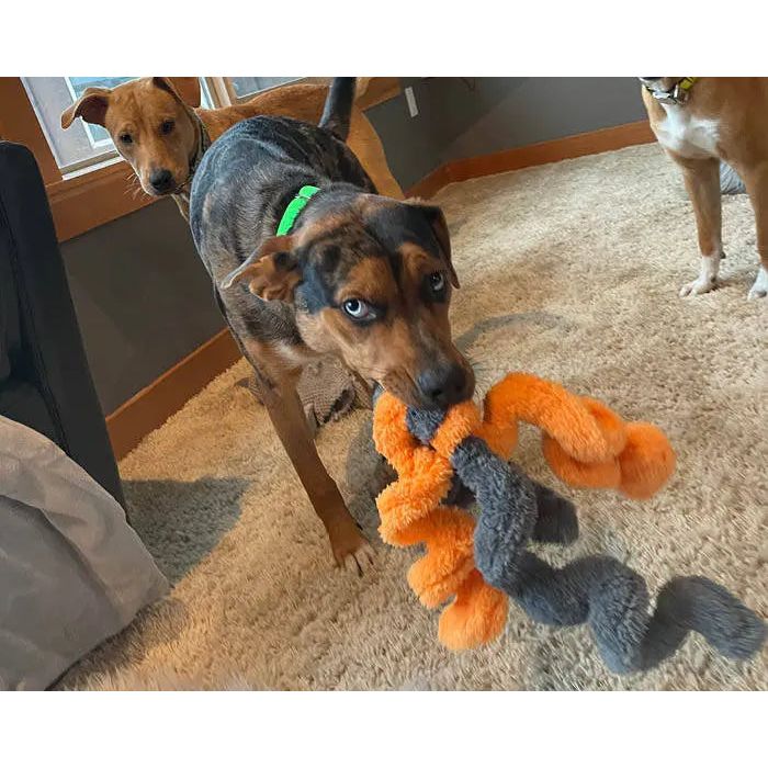 Cycle Dog Duraplush Springy Thing Dog Toy Cycle Dog