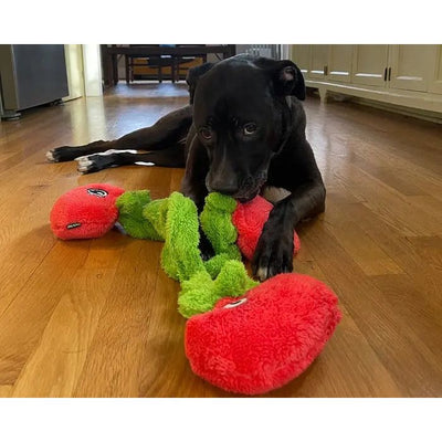 A black dog lies on a wooden floor, chewing on a Cycle Dog Duraplush Vine of Tomatoes Dog Toy. Sunlight enters from the left, illuminating kitchen cabinets in the background.