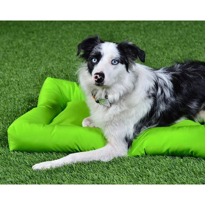 A black and white dog with blue eyes lies on the bright green Cycle Dog Waterproof Barrier Layout Dog Bed by Cycle Dog, set on artificial grass and looking at the camera.