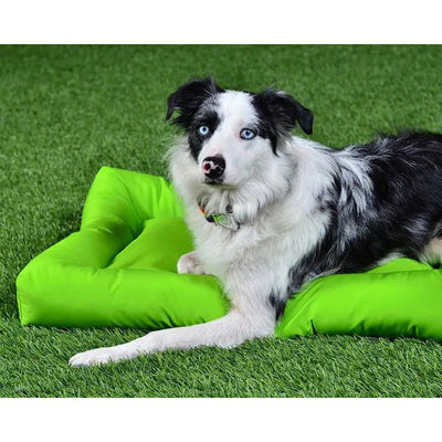 A black and white dog with blue eyes lies on the bright green Cycle Dog Waterproof Barrier Layout Dog Bed by Cycle Dog, set on artificial grass and looking at the camera.