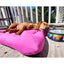 A small brown dog naps on a Cycle Dog Waterproof Barrier Layout Dog Bed by Cycle Dog, bright pink and washable, placed on a porch next to a water bowl with colorful mushroom designs. Sunlight casts shadows on the dog and nearby area.