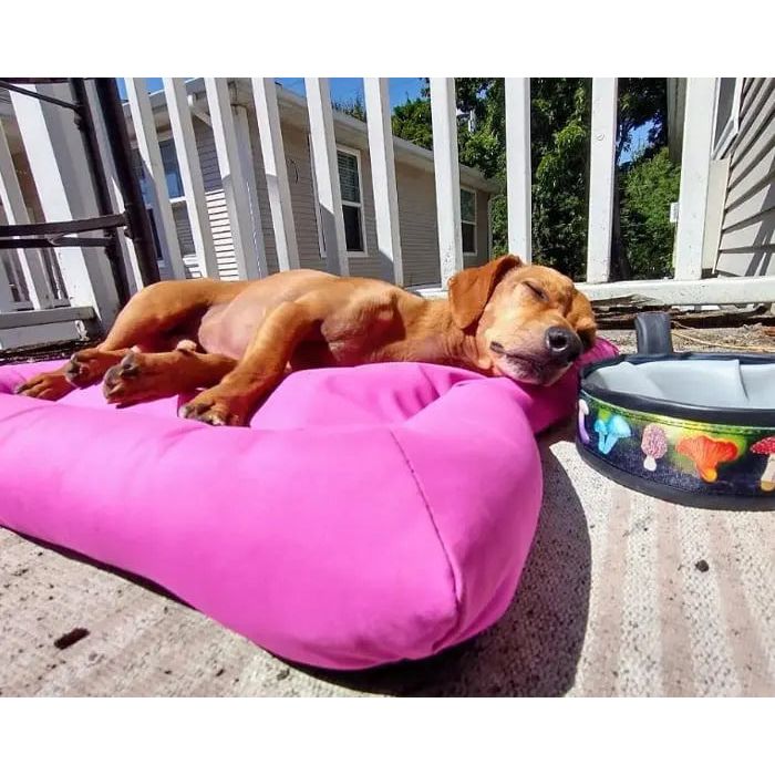 A small brown dog naps on a Cycle Dog Waterproof Barrier Layout Dog Bed by Cycle Dog, bright pink and washable, placed on a porch next to a water bowl with colorful mushroom designs. Sunlight casts shadows on the dog and nearby area.