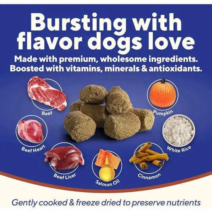 Dave's Digesti-Bites Beef, Rice & Pumpkin Freeze-Dried Dog Treats Dave's Pet Food