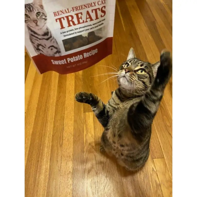 Dave's Pet Food Renal-Friendly Sweet Potato Grain-Free Soft & Chewy Cat Treats Dave's Pet Food